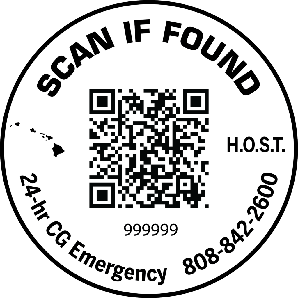 Scan If Found QR decal